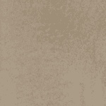 bm07