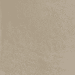 bm08