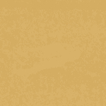 bm09
