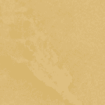 bm11