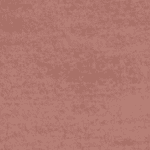 bm16